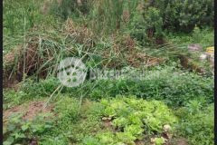 Ngõ thông rộng 2.5m khu vực tiềm năng mảnh đất hiếm còn sót lại.