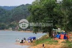 Cần bán 20000 m2 đất vườn,đấu thầu, diện tích tương đương 5 mẫu tại phường duy tân