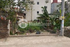 Đất đẹp đường thông ô tô tránh giá rẻ lương quy đông anh dt 92.6m2. giá 72 triệu m2