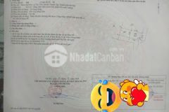 Bán lô đất góc đẹp 2 mặt tiền tại quế sơn, tân ước đường ô tô đỗ cửa, giá chỉ 49 triệum²