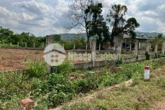 Chỉ với 2 tỷ có hơn 1,000 m2 đất full hồng, với gần 40m mặt tiền đường chính long giao bảo bình