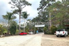 Cho thuê nhà mặt tiền đường trần hưng đạo, phường 10, đà lạt