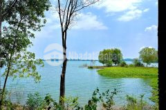 Đất vườn phủ hồng ont giáp hồ trị an view hồ view đức mẹ núi cúi đường đi oto