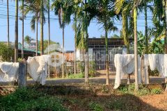 Đất mặt tiền đường nhựa 4a đạt lý 9.3 x 34m 2.5 tỷ