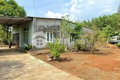 Đất vườn có sẵn 300m2 thổ cư sẵn nhà mái thái mặt tiền đường 770b ngay nút giao cao tốc