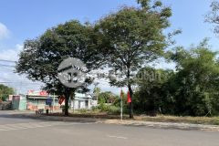 Gđ em cần bán gấp lô đất thổ cư tại mặt tiền trung tâm thị trấn dầu giây giá 2ty7