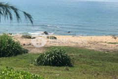 Bán đất đường huyết mạch dt719 xã tân thành huyện hàm thuận nam mặt tiền biển kinh doanh đắc địa