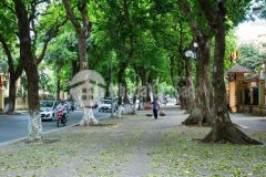 Bán nhà ngõ ô tô nguyễn văn trỗi, thanh xuân 95m đầu tư dòng tiền thu nhập tỷnăm 16 tỷ vị trí