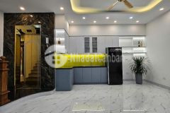 Nhà đẹp long lanh thang máy xịn, 40m2, mặt tiền rộng, mỗ lao 10.5 tỷ