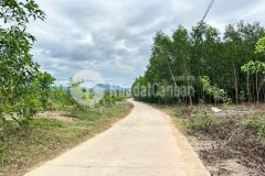 Bán đất vườn diên xuân mặt đường bê tông qh 16m sát bên khu dân cư thôn xuân nam