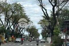 Bán nhanh lô đất trần đình tri trí đẹp vừa ở vừa kinh doanh giá hợp lý