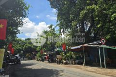 Trung tâm q11 lạc long quân nhà mặt tiền hẻm nhựa 16m kinh doanh đa ngành 2 tầng giá 11.x