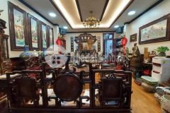 Bán biệt thự phố tân mai hoàng mai, phân lô ô tô đỗ cửa, 5 tầng nội thất đồ gỗ cao cấp.