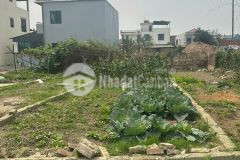 Bán đất văn quán đỗ động thanh oai 66,6m2. giá chỉ 64,5trm2