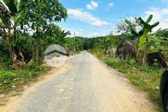 Bán đất giang ly giáp suối ngay khu nghỉ mát suối lách