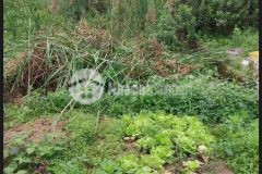 Hiếm còn tài chính nhỉnh 7 ty,diện tích mênh mông mặt tiền thông số, sổ vuông như bao diêm