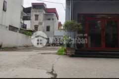 Mảnh đất vàng lâm du bồ đề ô tô vào đất