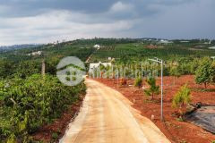 Cần bán đất xã tân hà lâm hà diện tích 302m² giá 495 triệu thổ cư 177m²