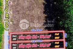 Đất ngộp 2 lô liền kề, 1 đường nhựa lớn 150m2 full thổ