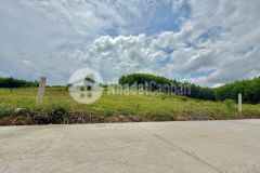 Bán đất vườn diên xuân giá rẻ cách khu dân cư chỉ 300m