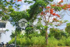 Bán nền 113m2 đường a7 kdc phú an, phú thứ, cái răng, cần thơ.