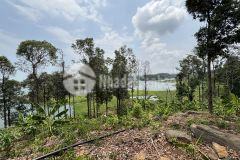 Sở hữu ngay lô đất vườn cạnh hồ trị an view đẹp, giá chỉ 1tr2m²