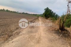 5585m2 đất vườn xã lương hòa, huyện bến lức giá 4,6 tỷ
