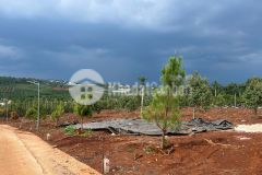 Cần bán đất gần chợ tân hà lâm hà diện tích 302m² giá 495 triệu thổ cư 177m²