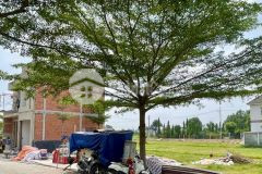 Đất full thổ cư diện tích 80 tại tân phú trung củ chi chính chủ diện tích 85m² ngang 5x18,