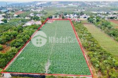 Gửi bán lô đất lớn, ngay sân bay liên khương đà lạt 8600m2 giá rẻ sock bất ngờ