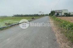 2 nền thổ cư mặt tiền nhựa xã nhựt chánh, bến lức dt 161,2m2 giá 1,25 tỷ nền