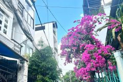 Tân bình, nhà đẹp ở ngay,5 tầng,50m2,4pn, gần chợ phạm văn hai, liền kề lê văn sỹtrường sa, 7.55 tỷ