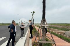 Chuyển nhượng 50.000m2 khu công nghiệp lương điền hải dương