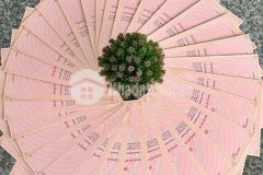 Sổ sẵn công chứng ngay ngân hàng hỗ trợ 70 chỉ có thể là đất tân định