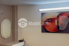 Cho thuê nhà mới phố hoàng hoa thám, ba đình 45m2 x 4t, 15 trth, trước nhà rộng, thoáng