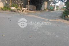 Bán đất tđc trâu quỳ, gia lâm 60m² mặt tiền 4m. giá 175 trm².