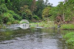 Bán đất vườn khánh đông giáp suối khao gần tỉnh lộ 8