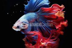 Nền b10 kdc tân phú, cái răng, cần thơ 100m2 đối diện trường học sổ hồng giá yêu thương