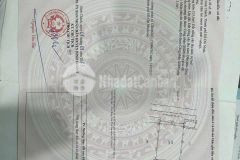 228m2 đất thổ hẻm xã vĩnh lộc a, bình chánh giá 8 tỷ