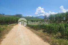 Bán đất vườn diên đồng giá rẻ mặt đường bê tông thông thoáng