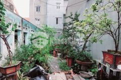 Bán 50m đất hưng phúc cách phố 30m hoàng mai