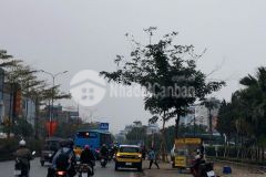 8 tầng nổi, 1 tầng hầm, mặt đường quốc lộ 32 kinh doanh sầm uất vỉa hè đá bóng