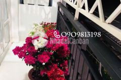 Nhà q11 shr giá tốt chốt nhanh