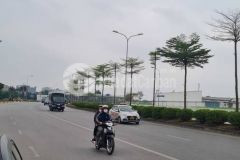 Bán tòa nhà căn hộ dòng tiền. hậu dưỡng, kim chung, đông anh 8 tầng, mặt tiền 8.2m