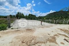 Bán đất diên tân giá rẻ full thổ cư sát bên hương lộ 62