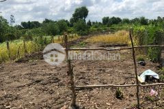 Bán đất xã bình đức huyện bến lức t.long an, 538m2 sdr 848tr. lh0392403568 0909432893.