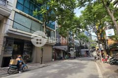 Bán nhà cấp 4 phố phan kế bính, ba đình 40m2 mặt tiền 4.5m gara ô tô chỉ 10.7 tỷ