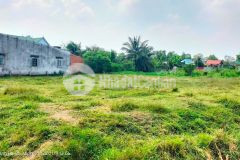 Đất vườn 1000m2 mặt tiền ba chả, phủ hồng toàn bộ, hưng long, bình chánh