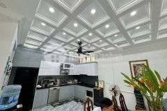 Bán biệt thự mini 3 tầng ngõ 45 vũ đức thận, long biên 124m²,3 tầng, mt 7.4m 18.5 tỷ