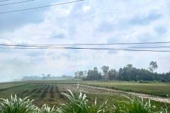 Đất giá rẻ bình định nam sở hữu 1725m2 chỉ với 900 triệu đồng